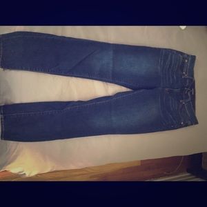 Dark Denim Straight Leg JCrew Jeans